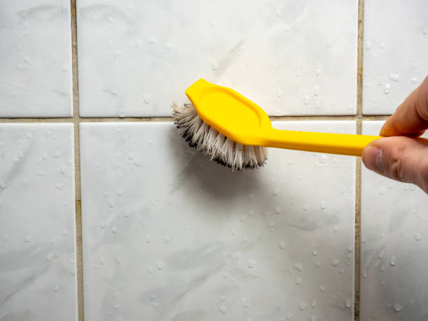 Best Mold Remediation for Specific Building Types in York, AL