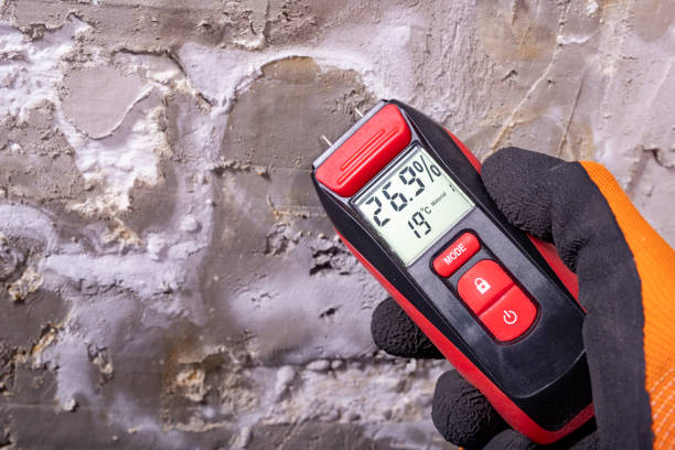  York, AL Mold Removal Pros